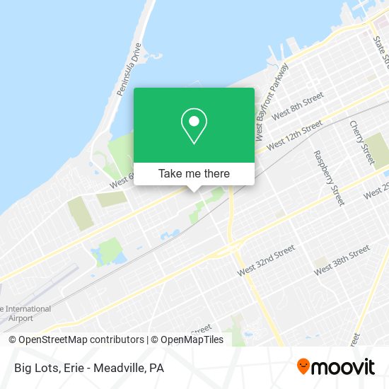 Big Lots map