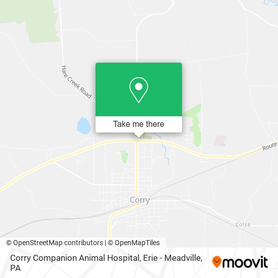 Corry Companion Animal Hospital map