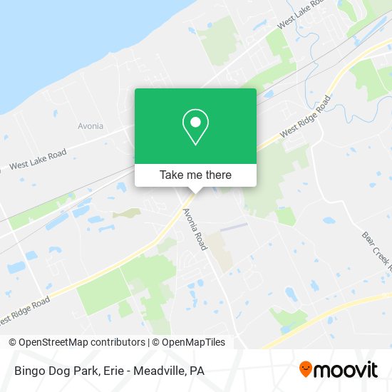 Bingo Dog Park map
