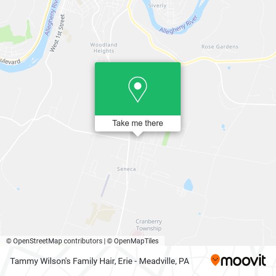 Tammy Wilson's Family Hair map