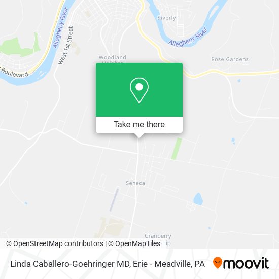 Mapa de Linda Caballero-Goehringer MD