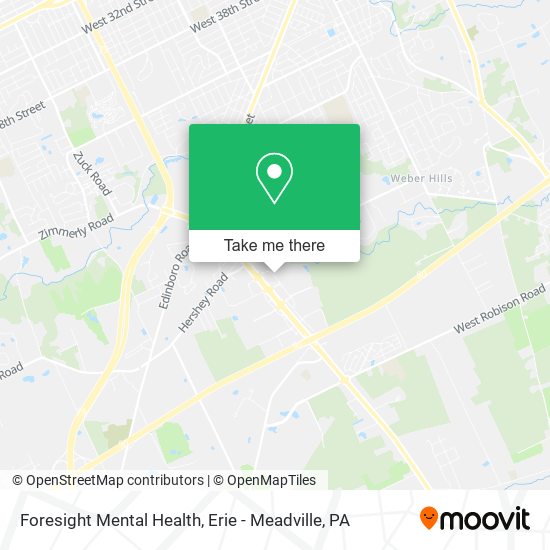 Foresight Mental Health map