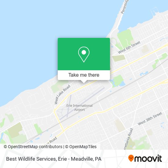 Mapa de Best Wildlife Services