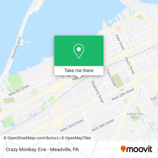 Crazy Monkey map
