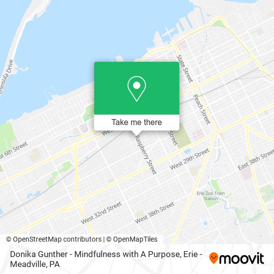 Mapa de Donika Gunther - Mindfulness with A Purpose