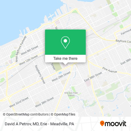 David A Petrov, MD map