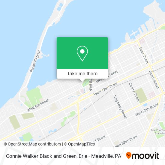 Connie Walker Black and Green map