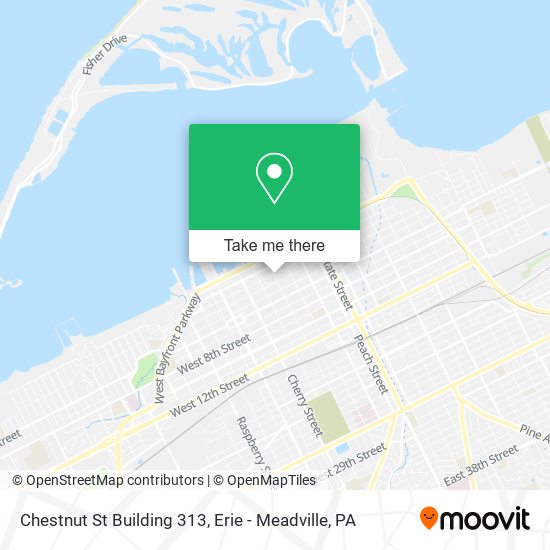 Chestnut St Building 313 map