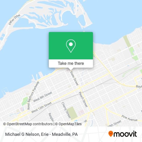 Michael G Nelson map