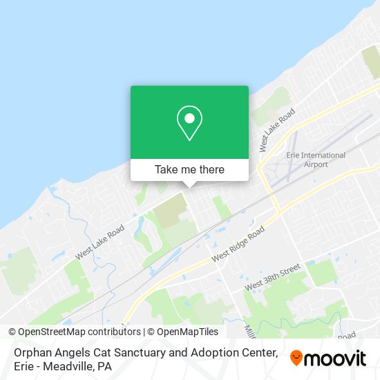 Orphan Angels Cat Sanctuary and Adoption Center map