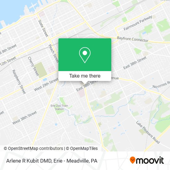 Arlene R Kubit DMD map