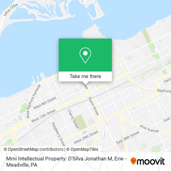 Mmi Intellectual Property: D'Silva Jonathan M map