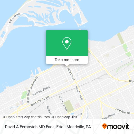 Mapa de David A Femovich MD Facs