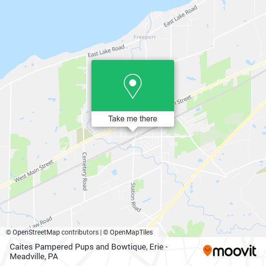 Caites Pampered Pups and Bowtique map