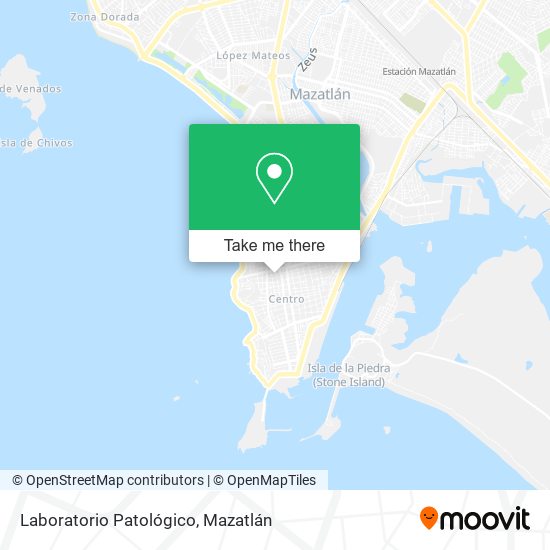 Mapa de Laboratorio Patológico