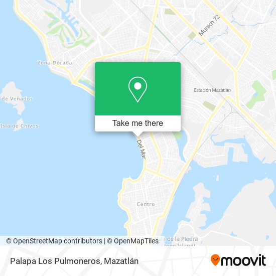 Palapa Los Pulmoneros map