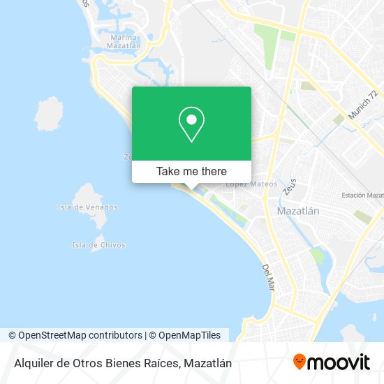 Mapa de Alquiler de Otros Bienes Raíces