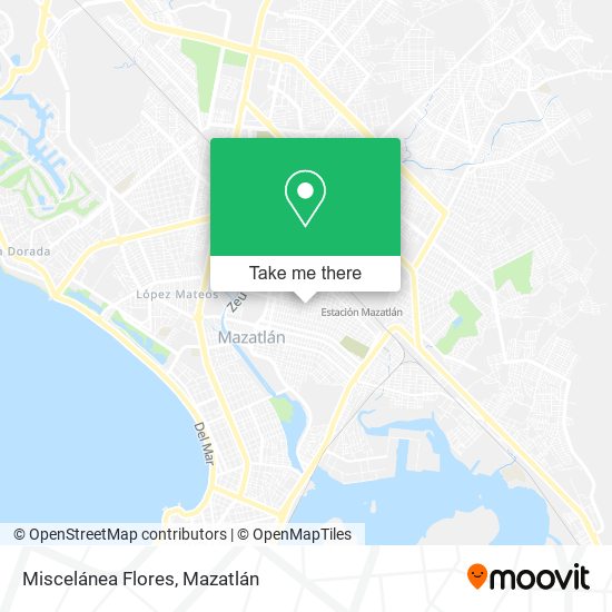 Mapa de Miscelánea Flores