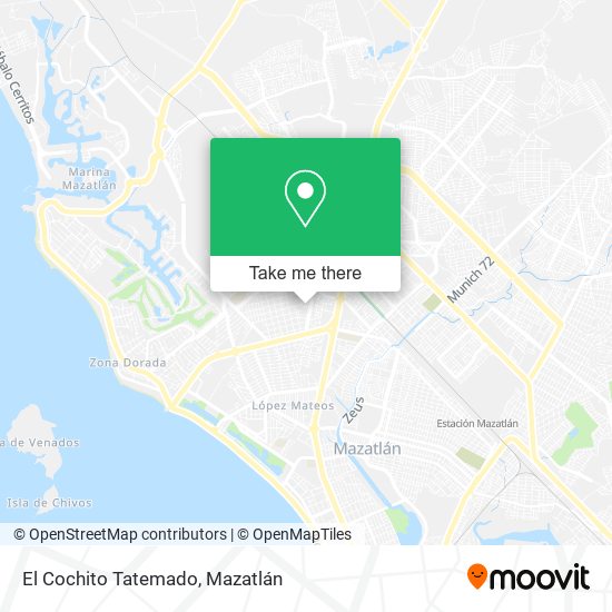 El Cochito Tatemado map