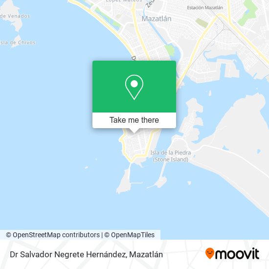 Mapa de Dr Salvador Negrete Hernández