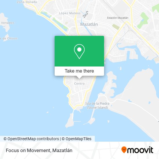 Focus on Movement map