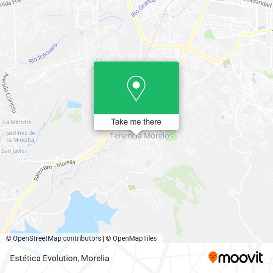 Estética Evolution map