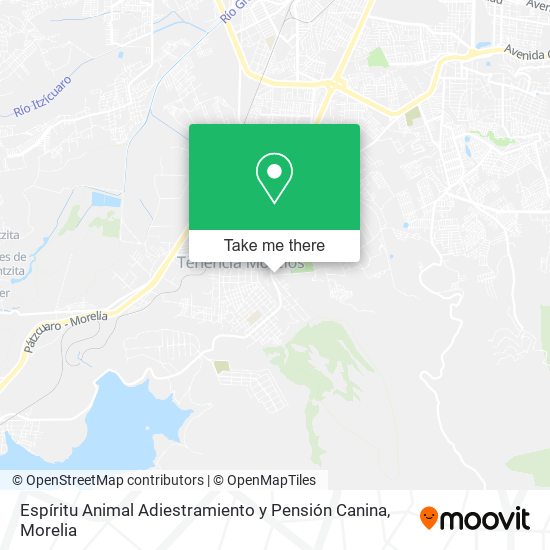 Espíritu Animal Adiestramiento y Pensión Canina map