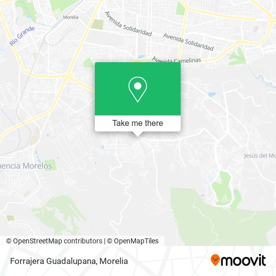 Mapa de Forrajera Guadalupana