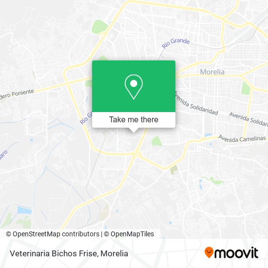 Veterinaria Bichos Frise map