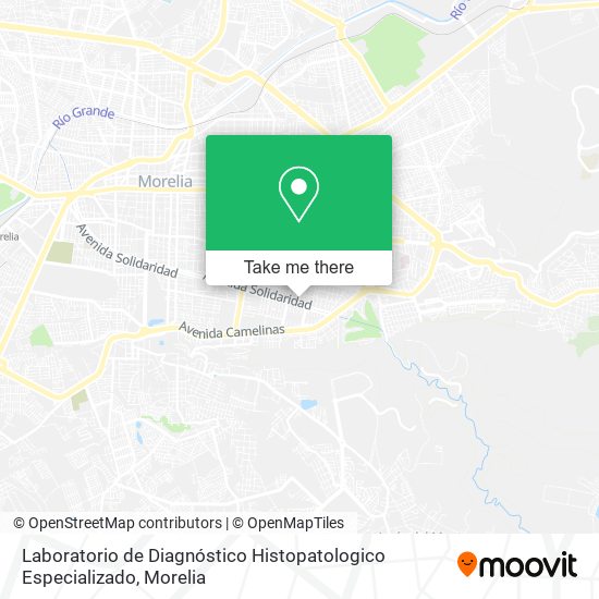 Laboratorio de Diagnóstico Histopatologico Especializado map