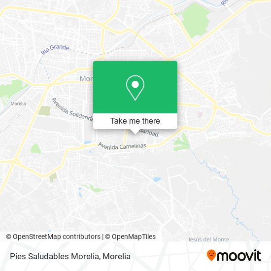 Pies Saludables Morelia map