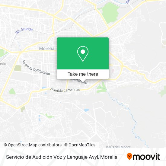 Servicio de Audición Voz y Lenguaje Avyl map