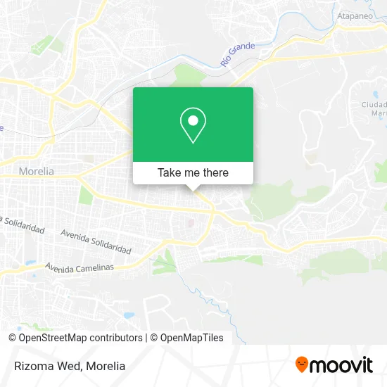 Rizoma Wed map