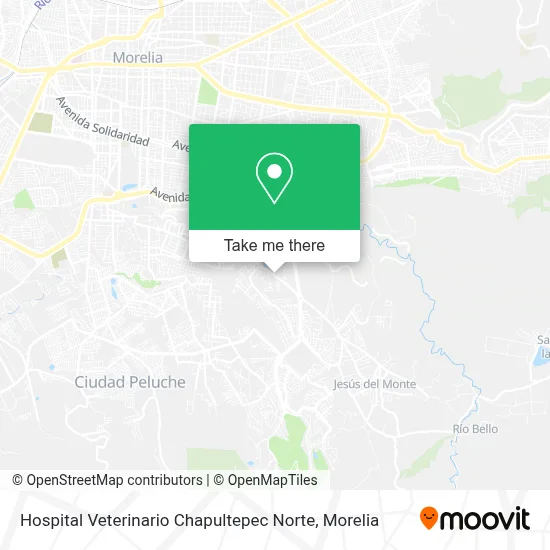 Hospital Veterinario Chapultepec Norte map