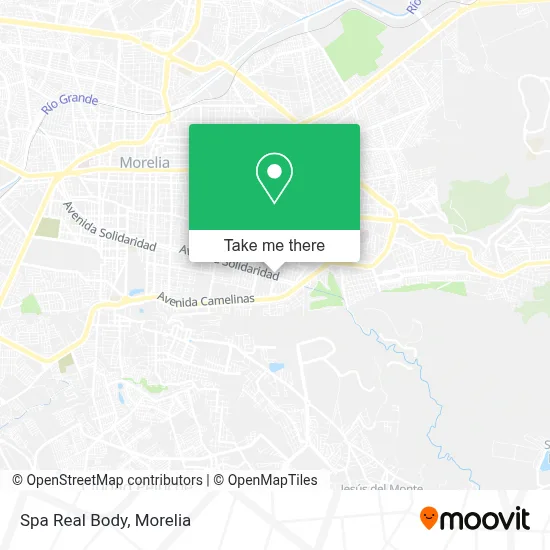 Spa Real Body map