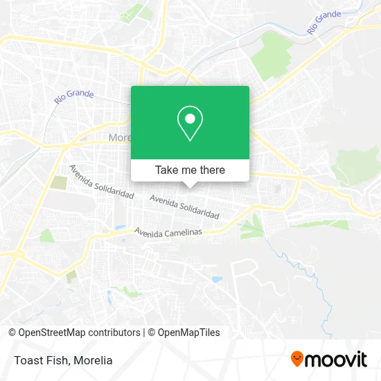 Toast Fish map