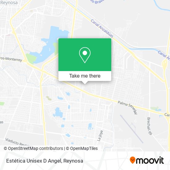 Estética Unisex D Angel map