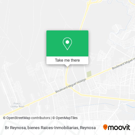 Br Reynosa, bienes Raíces-Inmobiliarias map
