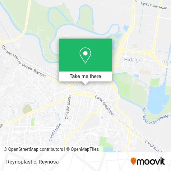 Reynoplastic map