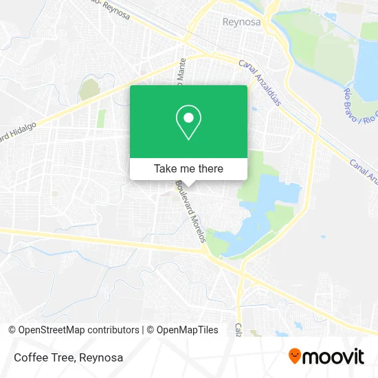 Coffee Tree map