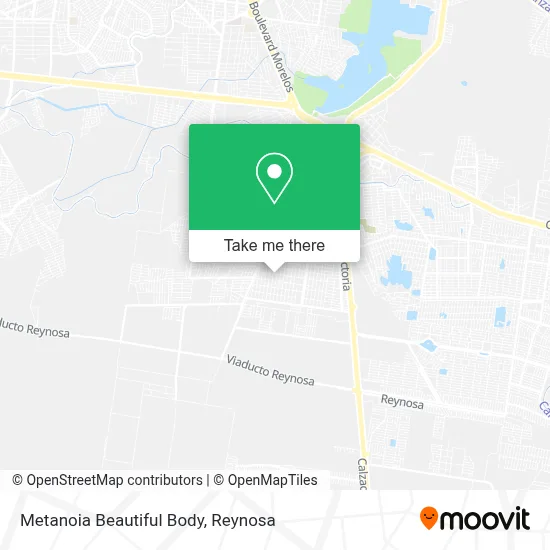 Metanoia Beautiful Body map