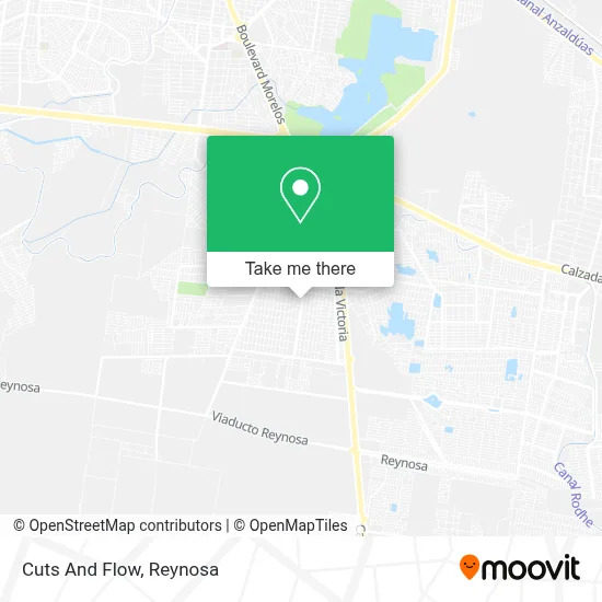 Cuts And Flow map