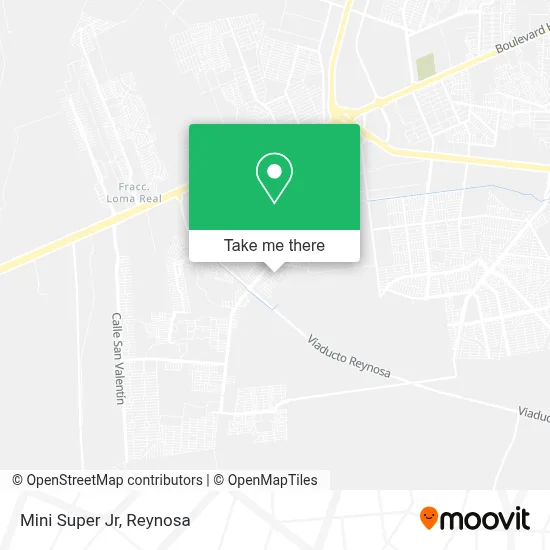 Mini Super Jr map