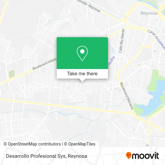 Desarrollo Profesional Sys map