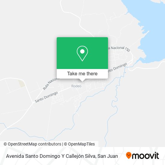 Avenida Santo Domingo Y Callejón Silva map