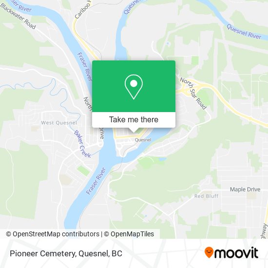 Pioneer Cemetery plan
