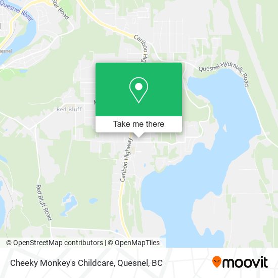 Cheeky Monkey's Childcare plan