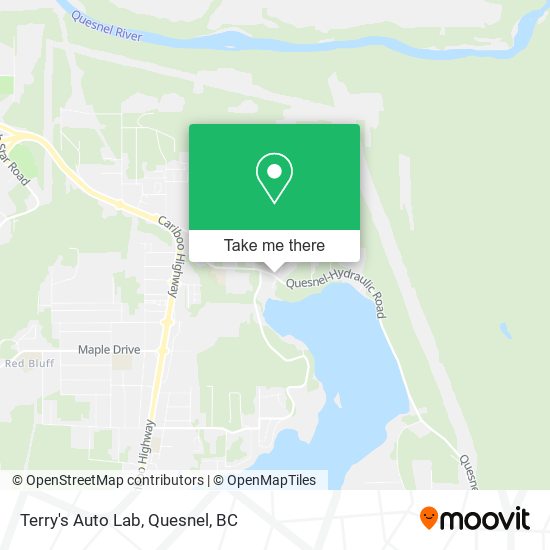 Terry's Auto Lab plan