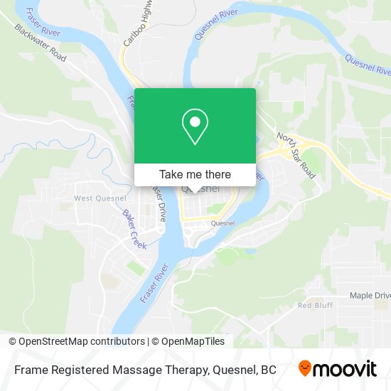 Frame Registered Massage Therapy plan