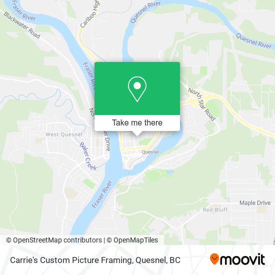 Carrie's Custom Picture Framing map